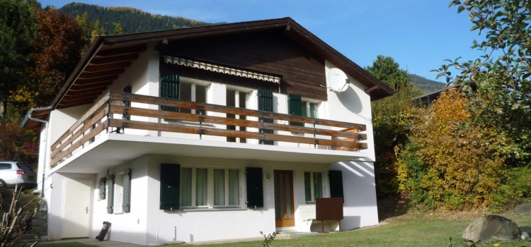 Birchli-sommer-talseite-bew