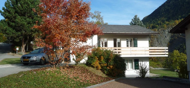 Birchli sommer westseite Birchli sommer westseite